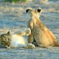 Privacy in Namibia - Unique Villas for couples
