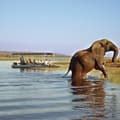  Great nature and Safari highlights in 3 countries