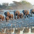 The Wonders of Namibia - Small guided group Safari