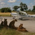 Fly-in South Africa - Spectacular Cape & Safari