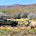 Safari Highlights along Garden Route & East Coast