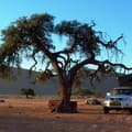 Night under the stars - Namibia Camping Adventure