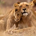 Group Tour through South Africa’s National Parks