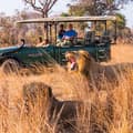 Safari in Zambia’s wildlife-rich Kafue National Park