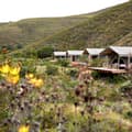 Tented Glamping Safari Cape Town & Garden Route