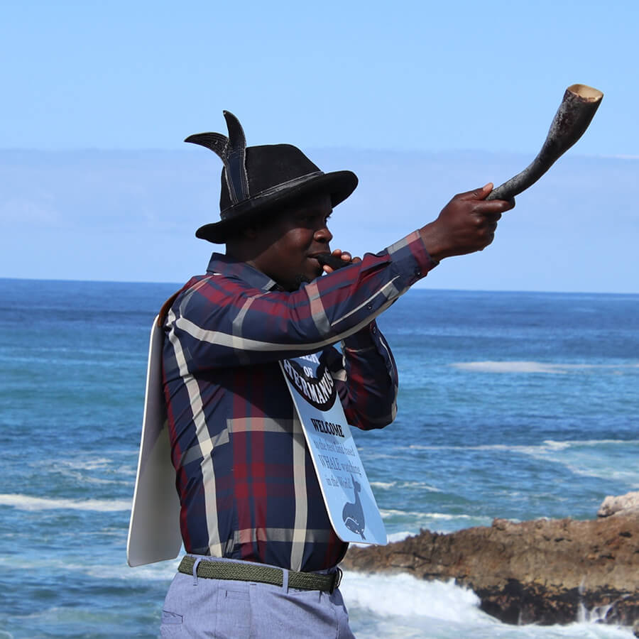 Hermanus Whale Festival