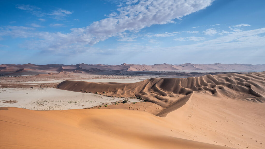 namib desert